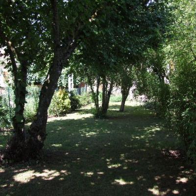 le jardin ombragé le 20.08.2013